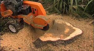 With woodland mills powerful wg24 pto wood chipper, stump removal is a breeze! Stump Humper Stump Grinder Youtube