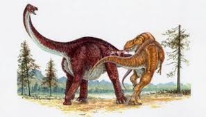 35 miles per hour doesn't sound bad. The Prehistory Saga Tyrannosaurus Rex Facts