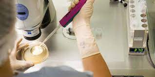 La Congelation Des Ovocytes La Solution Pour Retarder L Horloge Biologique Le Point