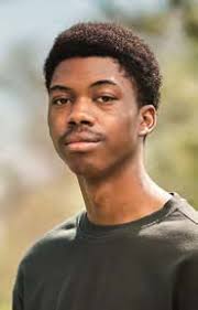 Small media gave Johnson a big boost