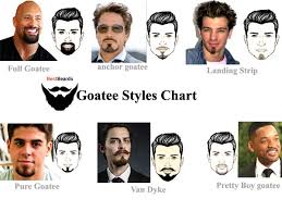 Beard Styles Beard Styles Chart Goatee Beard Goatee