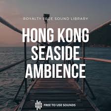 Our professional musicians select only the best works that will brighten up any media project. Free Sound Effects And Free Sound Libraries Free To Use Sounds