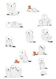 Momoro Illustration Cute Illustration Bear Illustration Cartoon Design