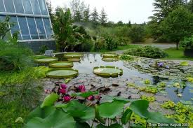 Mit freundlicher genehmigung der leitung. Botanischer Garten Bayreuth