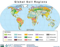 soil fertility wikipedia