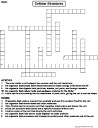 Scientific method crossword puzzle answers scientific method review name _____ use the clues to help you fill in the puzzle. Science Spot Teaching Resources Tes