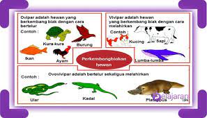 Maybe you would like to learn more about one of these? Macam Macam Perkembangbiakan Generatif Pada Hewan Dan Penjelasannya Lengkap Ilmu Pengetahuan Alam Ipa