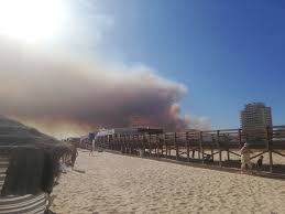 May 22, 2021 · mais de 140 operacionais e 48 veículos combateram um incendio em castro marim que começou às 15h50 deste sábado. Fbotzhkrum8lam