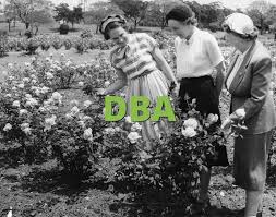 Some states have statutes dealing with the question of whether acting as a partner, member of a limited Dba What Does Dba Mean Slang Org