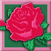 Flowers by susan, your local port st lucie florist, sends fresh flowers throughout the port st lucie, fl area. Flowers By Susan Home Facebook