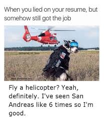 Animals Who Lied On Their Resume But Still Got The Job Memes Funny Pictures Funny Animal Memes Funny Pictures Tumblr