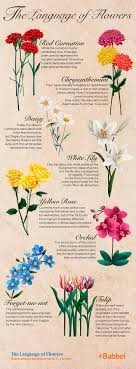 Children are often associated with family, which makes lilac, hyacinth and gardenias part of the collection of flowers meaning family. The Language Of Flowers