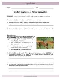 Gizmo food chain answer key. Forest Ecosystem Lesson Plans Worksheets Lesson Planet