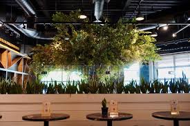 As of july 14, 2021. Place 2 Be Brings Bottomless Bathtubs Bougie Vibe Revolutionary Service Approach To West Hartford Restaurant Scene We Ha West Hartford News