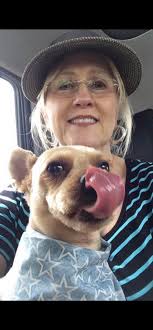 Bearded dragon passed away