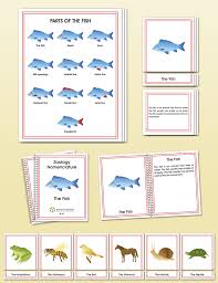 Zoology Elementary Nomenclature Montessori Research And Development Zoology Continents And Oceans Montessori Materials