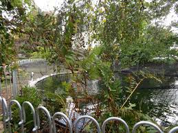 Da Wir Einen Fischreiher Als Gast Haben Wurde Eine Netz Uber Den Zaun Und Teich Gespannt Der Reiher Der Gelegentlich Unseren Fischbesa Teich Fischreiher Zaun