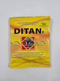 Image result for Ditan
