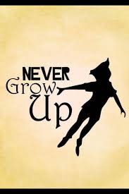 Being A Kid At Heart Is Way More Fun Than Being Old And Boring Peter Pan Disney Peter Pan Peter Pan And Tinkerbell