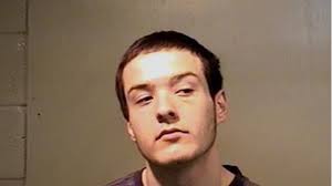 18-year-old faces arson, theft charges connected to burned barn, BMW in  Ionia County