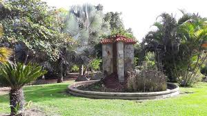 Welche sehenswürdigkeiten sie auf keinen fall verpassen sollten und wie sie ganz einfach dort hinkommen, erfahren sie hier. Botanical Park Of Maspalomas El Parque Botanico De Maspalomas 2020 All You Need To Know Before You Go With Photos Tripadvisor