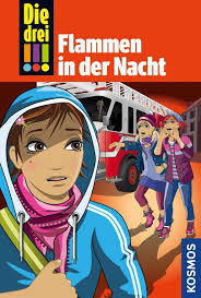 Seht euch die bilder an und lest die unterschriften. Die Drei 63 Flammen In Der Nacht Drei Ausrufezeichen Von Maja Von Vogel Ebook Thalia