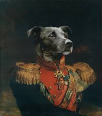 Maybe you would like to learn more about one of these? Pet Portrait Painting From Photo The Y Guide