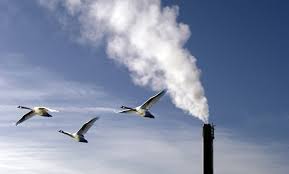 The constant pollution of the air has very negative effects on nature and on human health. What S The Solution To Air Pollution Birdlife