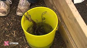 Maybe you would like to learn more about one of these? Bare Root Planting Youtube