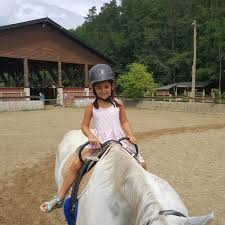 Browse the user profile and get inspired. Photos At Seholsziget Elmenypark 2610 Notincs
