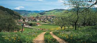 3.5 out of 5 stars. Schwarzwaldurlaub Wellness Ferienwohnung Oberharmersbach Schwarzwald Wellness Urlaub In Oberharmersbach Ferienwohnung Und Appartements