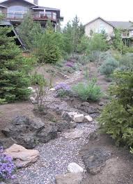 Rain Garden Hillside1 Jpg 428 591 Pixels Rain Garden Design Garden Landscape Design Rain Garden