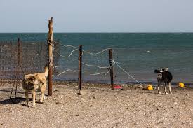 7 best beaches in azerbaijan. Azerbaijan S Pay Or Get Lost Beaches