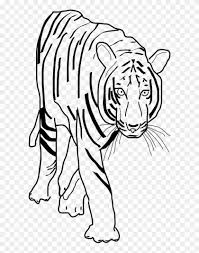 4.5 out of 5 stars (234 ) 234. Vector Clip Art Tiger Clipart Black And White Png Free Transparent Png Clipart Images Download