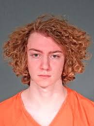 Teen 'having these really bad thoughts' when he choked, stabbed, ran over  girl, police say