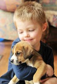 Cocuk Kopek Dogs And Kids Animals For Kids Animals Friends