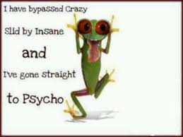 Funny Frogs Funny Frogs Frog Quotes Frog