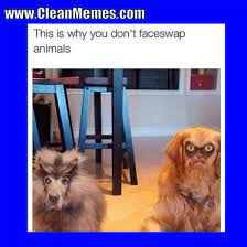 Pin On Hilarious