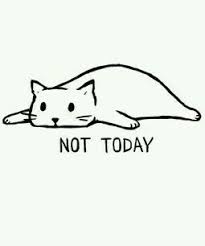 Not Today Cat Funny Drawings Cute Drawings T Shirt Painting