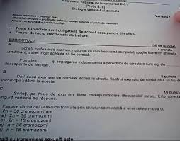 Le nouveau bac général 2021 propose une nouvelle organisation des enseignements sous la forme de parcours que chaque candidat choisira en organisation et contenu de la formation bac 2021. Vjts669pqma 0m