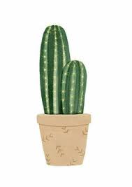 A good topcoat will make your paint job stronger and hold up against little circuses that i spraypainted the legs of a white ikea desk gold (damn pinterest!) with valspar metallic spray paint. 29 Cacti And Succulents Ideas Cactus Drawing Cactus Succulents