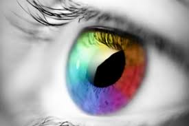 Color blindness or color deficiency classification and color blind is a term of art; Types Of Colour Blindness
