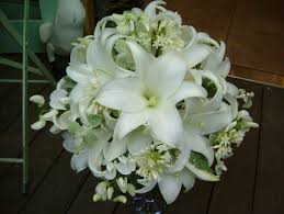 Wedding bouquet of lilies and roses, gold wedding rings. Caution Points Of Lilies For Wedding Bouquet By Meaning