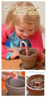 Grow A Candy Cane Christmas Activities For Kids Candy Cane Candy Cane Crafts
