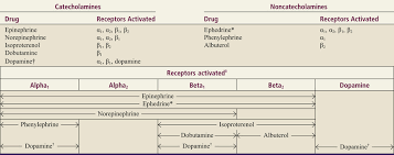 Adrenergic Agonists Basicmedical Key