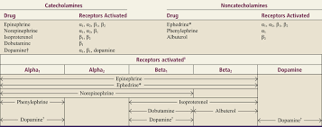 adrenergic agonists basicmedical key