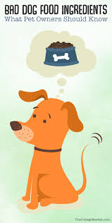 Instead look for dog foods with whole foods ingredients, real meat protein, and natural preservatives. Bad Dog Food Ingredients What Pet Owners Should Know The Cottage Market