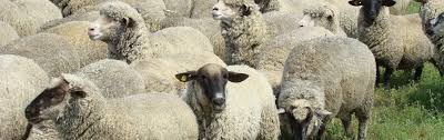 Maybe you would like to learn more about one of these? I C D C O C Palas Bine Ati Venit