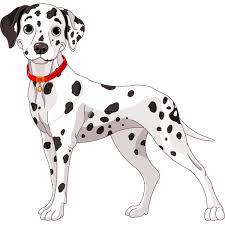 Black And White Spotted Dog Clipart Spotted Dog Dalmatian Dogs Cartoon Dog Spotted Dog