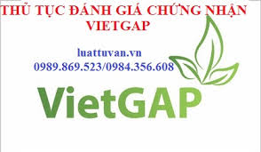 Thủ tục đánh giá chứng nhận Vietgap